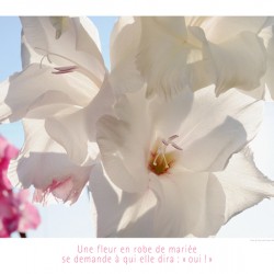 VIVE LA MARIEE