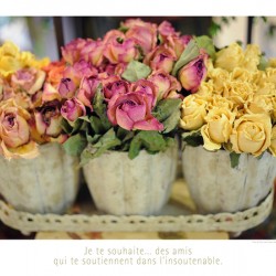 LES ROSES JAUNES