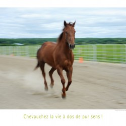 PUR SENS