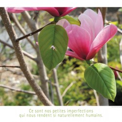 ELOGE DE L IMPERFECTION