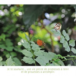 PROMESSES DE PROUESSES