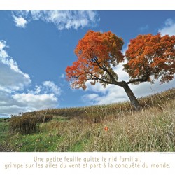LE GRAND VOYAGE