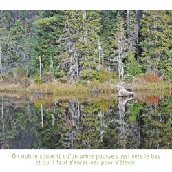 LE MIROIR