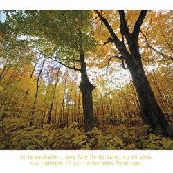 UNE FAMILLE DE SENS
