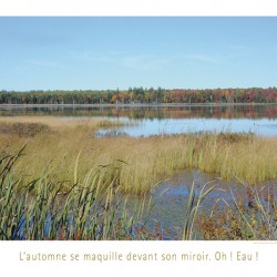 MIROIR MIROIR