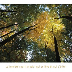 LA CROISSANCE