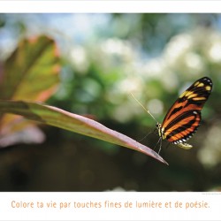 COLORE TA VIE