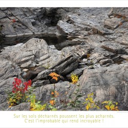 LA PERSEVERANCE
