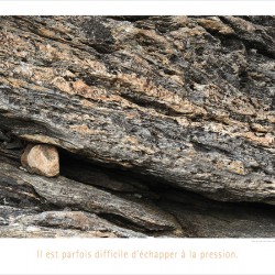LA PRESSION