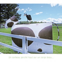 LE CORBEAU ET LA VACHE