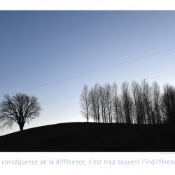 L INDIFFERENCE