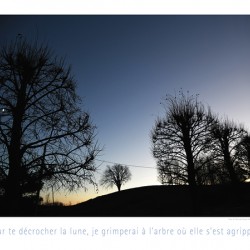 APPORTEZ LA GRANDE ECHELLE