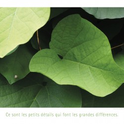LES PETITS DETAILS