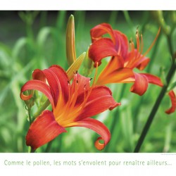 LES MOTS VOLANTS