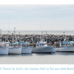 BOAT FOOD