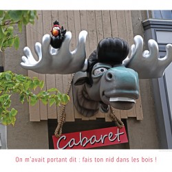 TU BOIS TROP