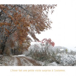 DECEMBRE CHEZ NOVEMBRE