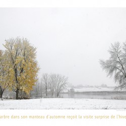 FRISSON DE SAISON