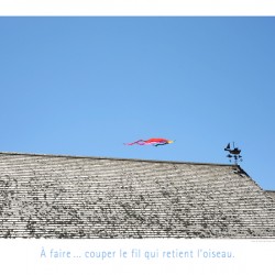 LE FIL