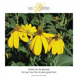 LES BIBITTES 8