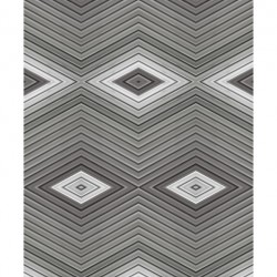 500 NUANCES DE GRIS FONCE