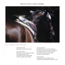JE T OFFRE UN CHEVAL