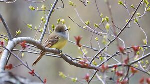 Spring is in the air