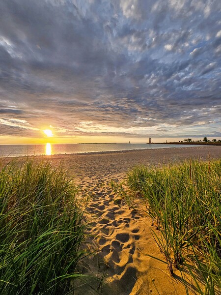 This way to peace Print