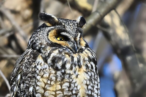 Concentration  Print