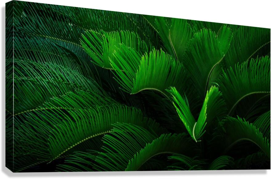 Green Envy  Canvas Print