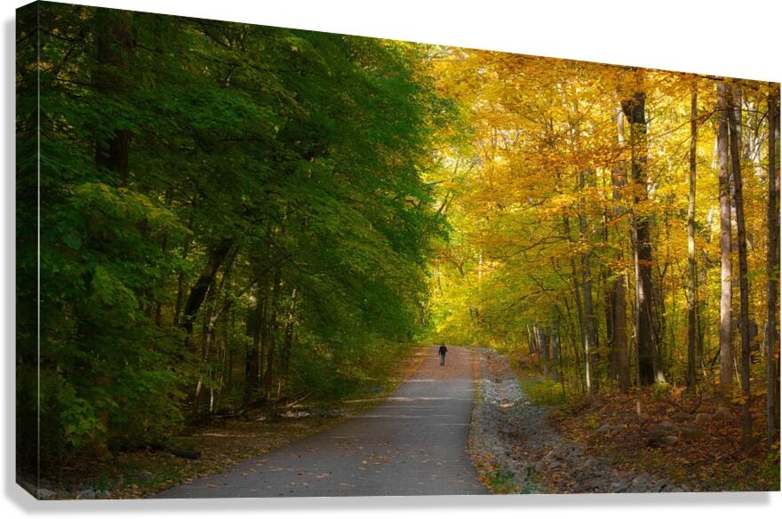 Centered Canvas Print