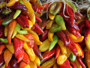 Colorful Hatch Chiles by Eduardo Palazuelos