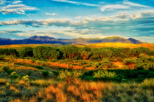 Whetstone Mountains from Las Cienegas by Eduardo Palazuelos