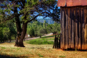 Old Barn Payson Arizona by Eduardo Palazuelos