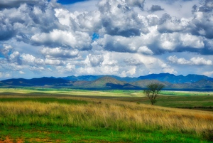 San Rafael Valley Arizona by Eduardo Palazuelos