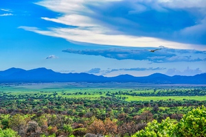Bird of Prey over Canelo Pass by Eduardo Palazuelos