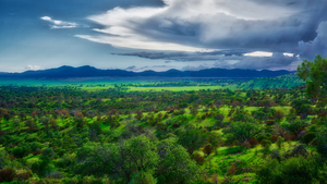 San Rafael Valley as seen from Canelo Pass by Eduardo Palazuelos