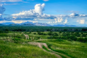 Las Cienegas Dirt Road by Eduardo Palazuelos
