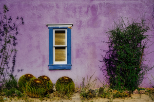 Ventana del Barrio by Eduardo Palazuelos