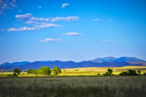 San Rafael Valley by Eduardo Palazuelos