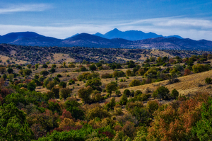 Rolling Hills in Southern Arizona by Eduardo Palazuelos