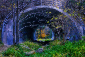 Bear Wallow Culvert Catalina Mountains by Eduardo Palazuelos