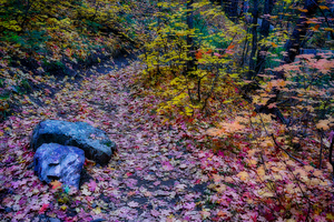 Colorful Trail Bear Wallow by Eduardo Palazuelos