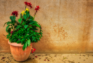Tlaquepaque Market in Sedona Arizona by Eduardo Palazuelos