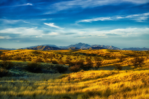 North view from Las Cienegas by Eduardo Palazuelos