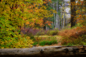 Bear Wallow Fall Wide View by Eduardo Palazuelos