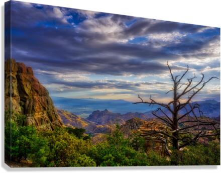 Windy Point View  2 Canvas Print
