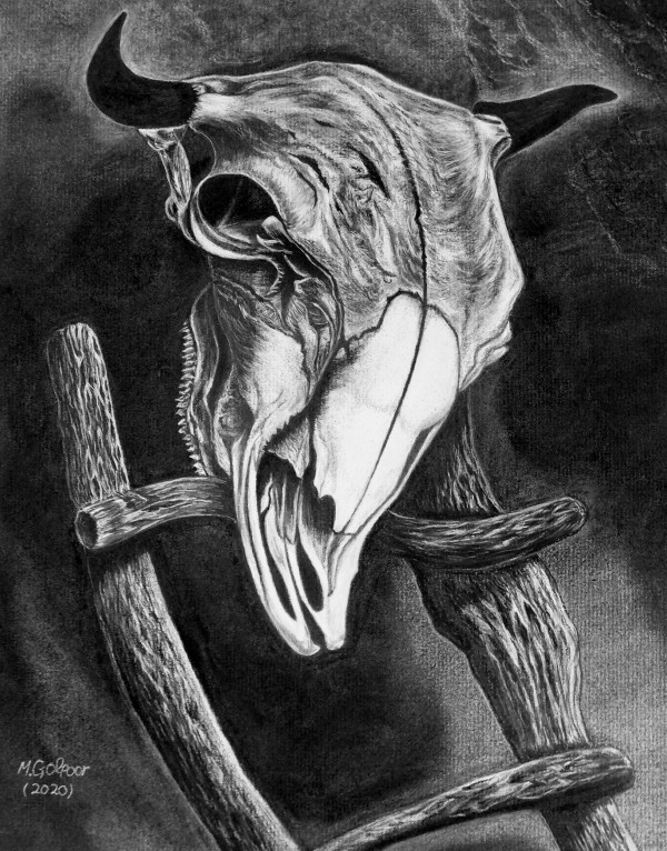 Longhorn  Print