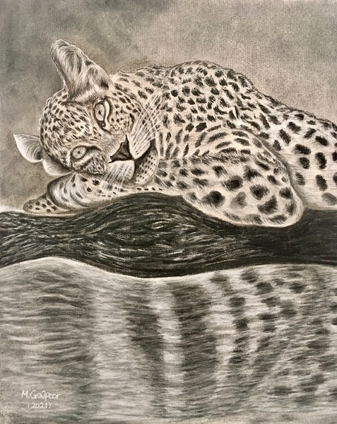 Reflecting Print