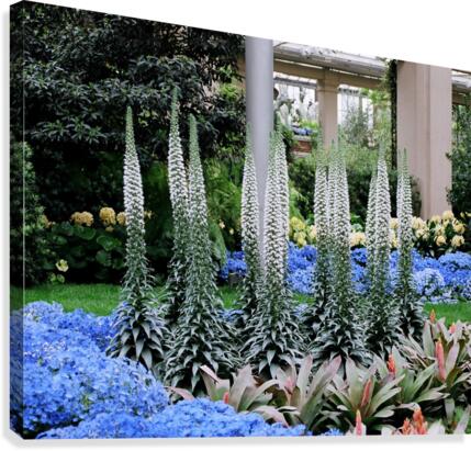 Flower Display 01 Canvas Print